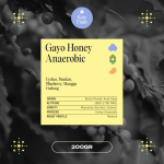 Gayo Honey Anaerobic rare finds Indonesian single origin filter coffee 200g from Aceh Gayo with lychee pandan blueberry and mango gedong flavor notes honey anaerobic process medium roast