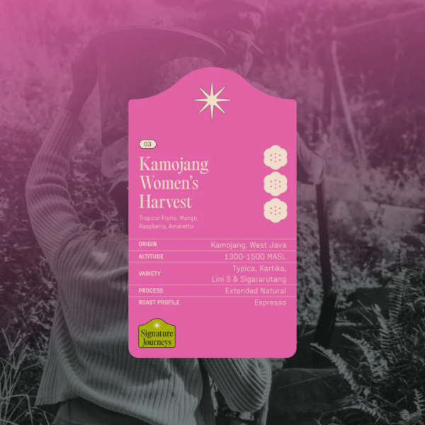 Kamojang Women’s Harvest Indonesian specialty coffee information graphic showing West Java origin extended natural process espresso profile by Koro Roasters