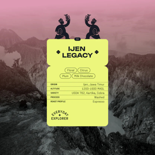Ijen Legacy Indonesian specialty coffee information graphic showing origin Ijen Java Timur with floral citrus plum and milk chocolate flavor notes by Koro Roasters
